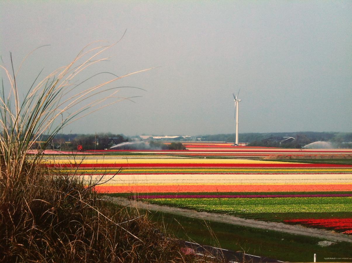 Catherina Hoeve Burgerbrug Exteriér fotografie